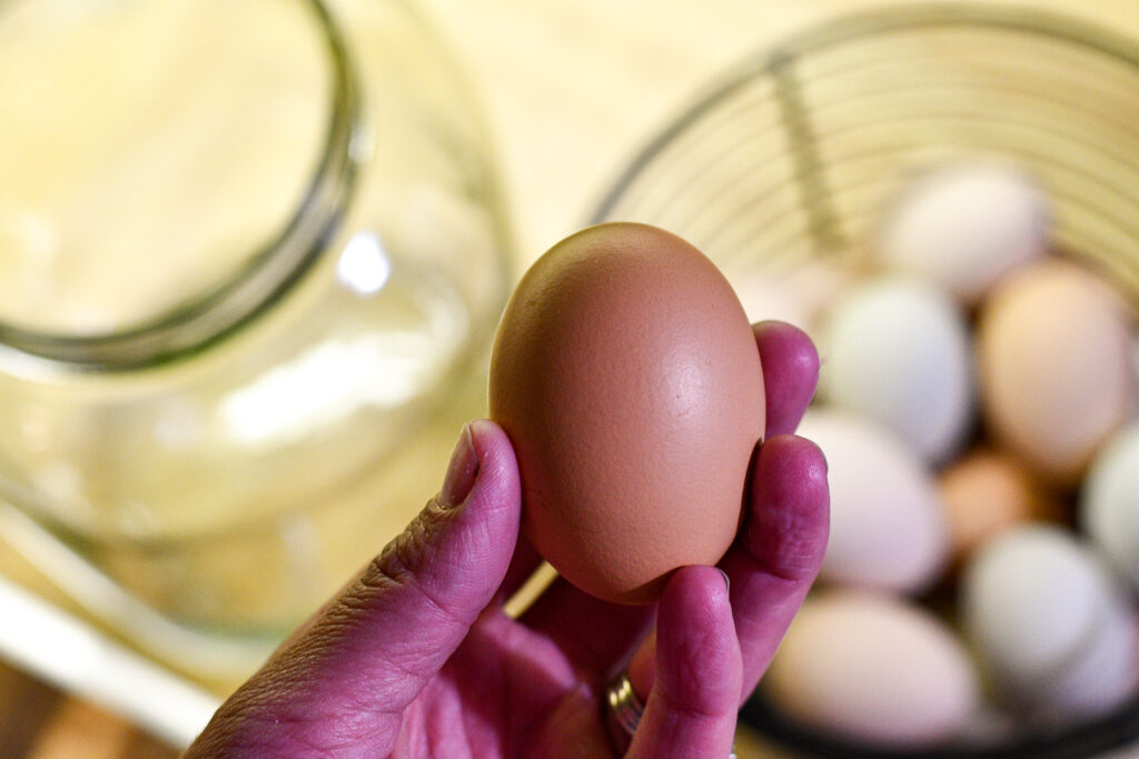 Hand holding an egg above a basket of farm fresh eggs.