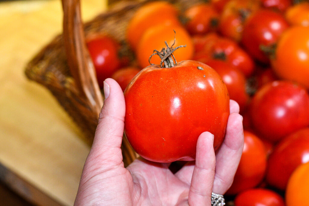 Hand holding a tomato in front of a basket of tomatoes